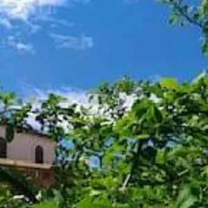  Casa vacanze Il Gelsomino Italia
